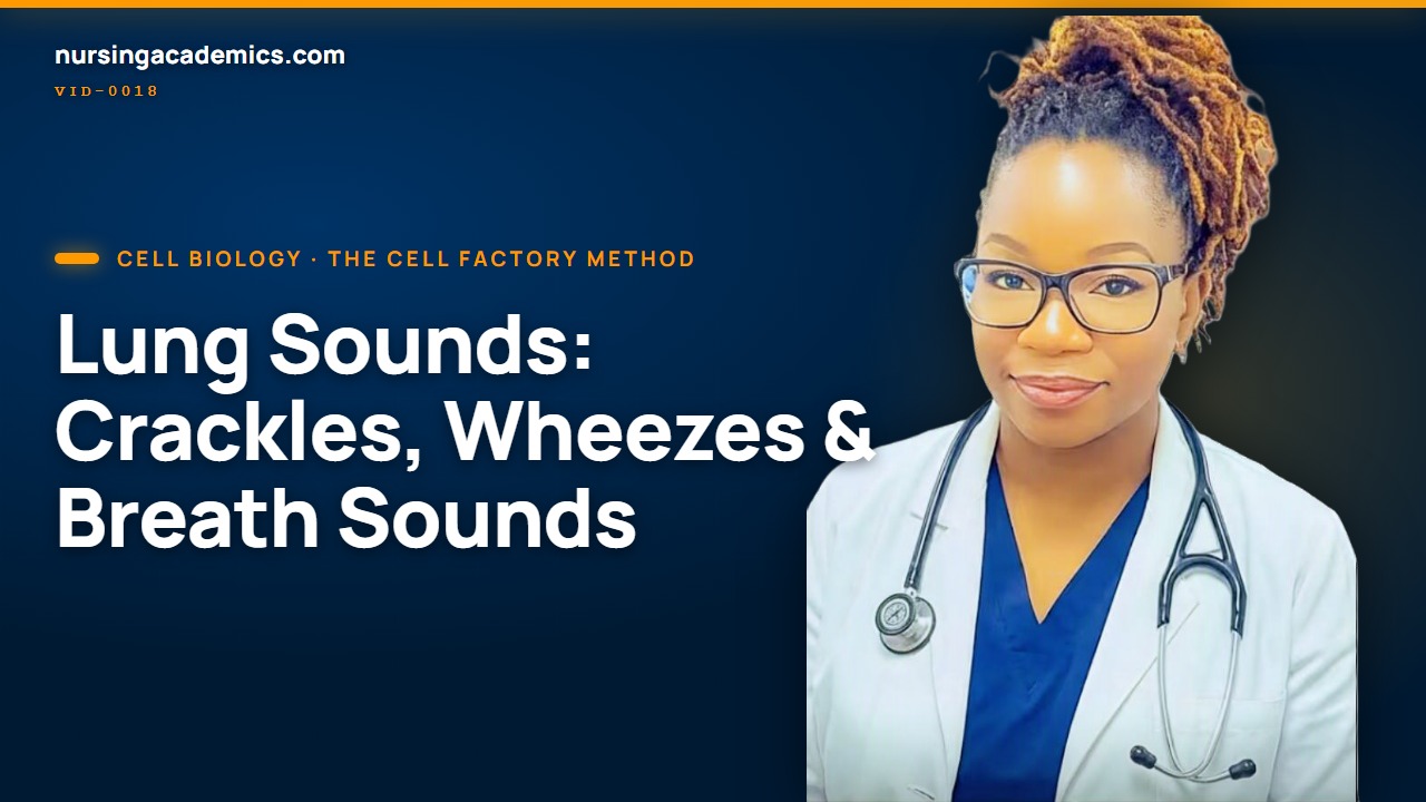 Pulmonary Section8 Assessment