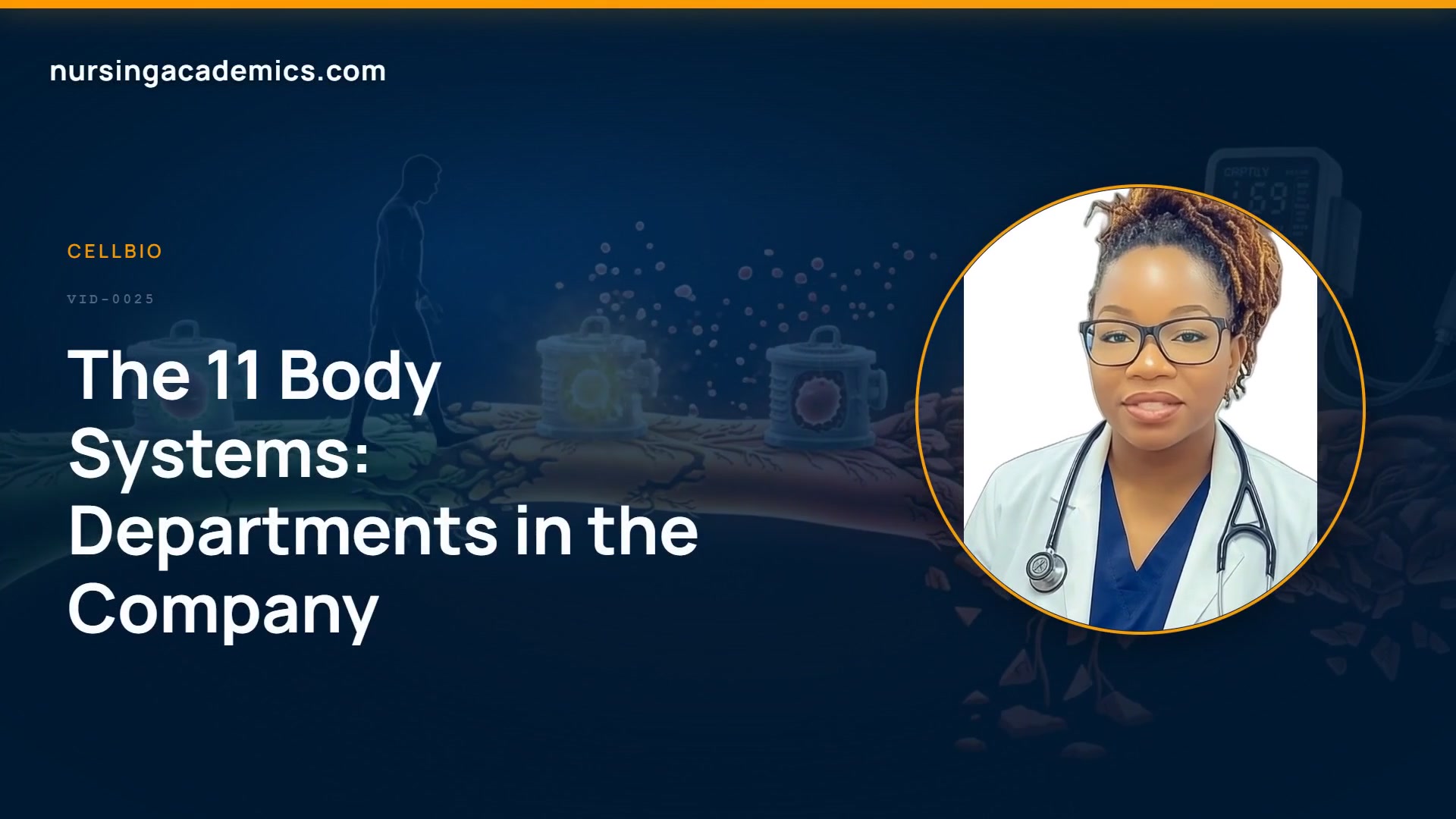 The 11 Body Systems: Departments in the Company video