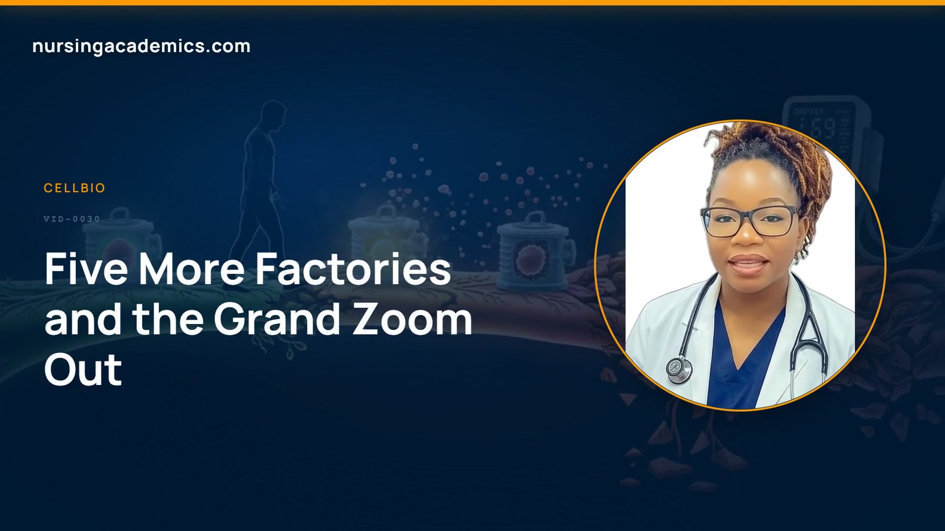 Five More Factories and the Grand Zoom Out video