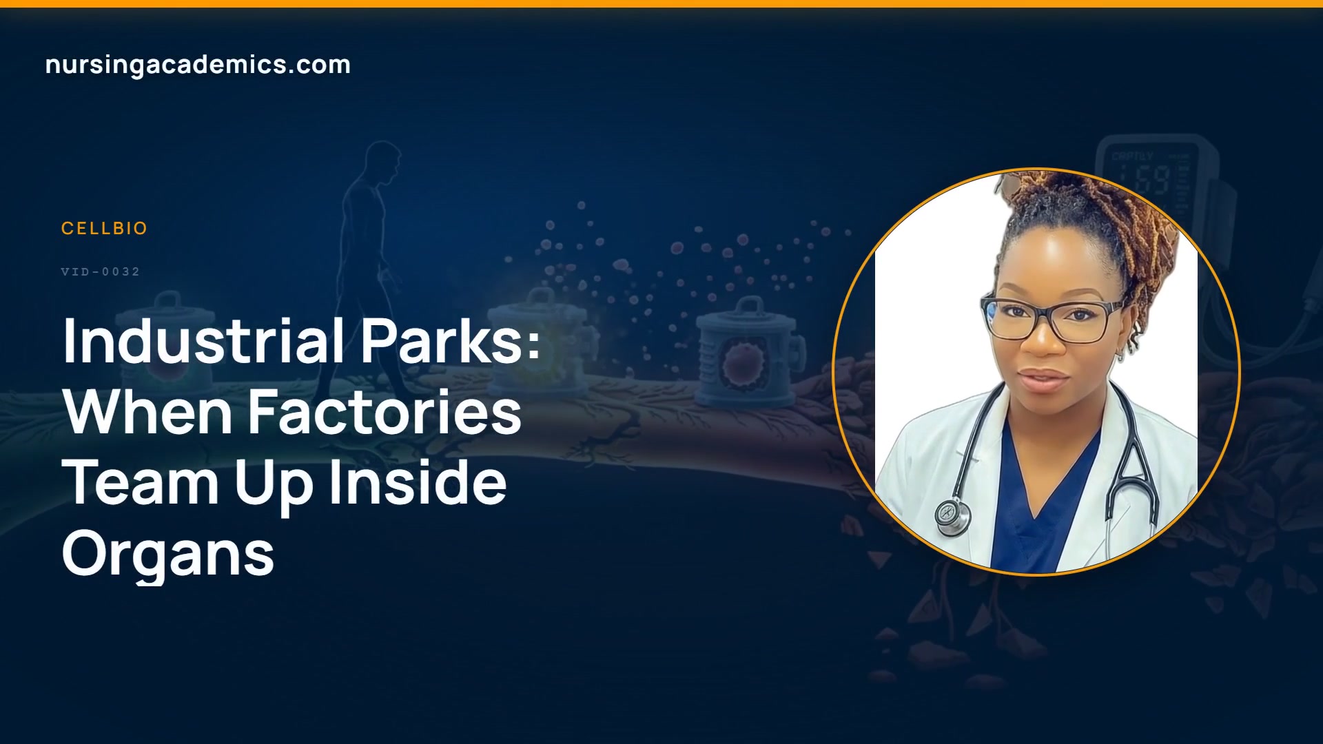 Industrial Parks: When Factories Team Up Inside Organs video