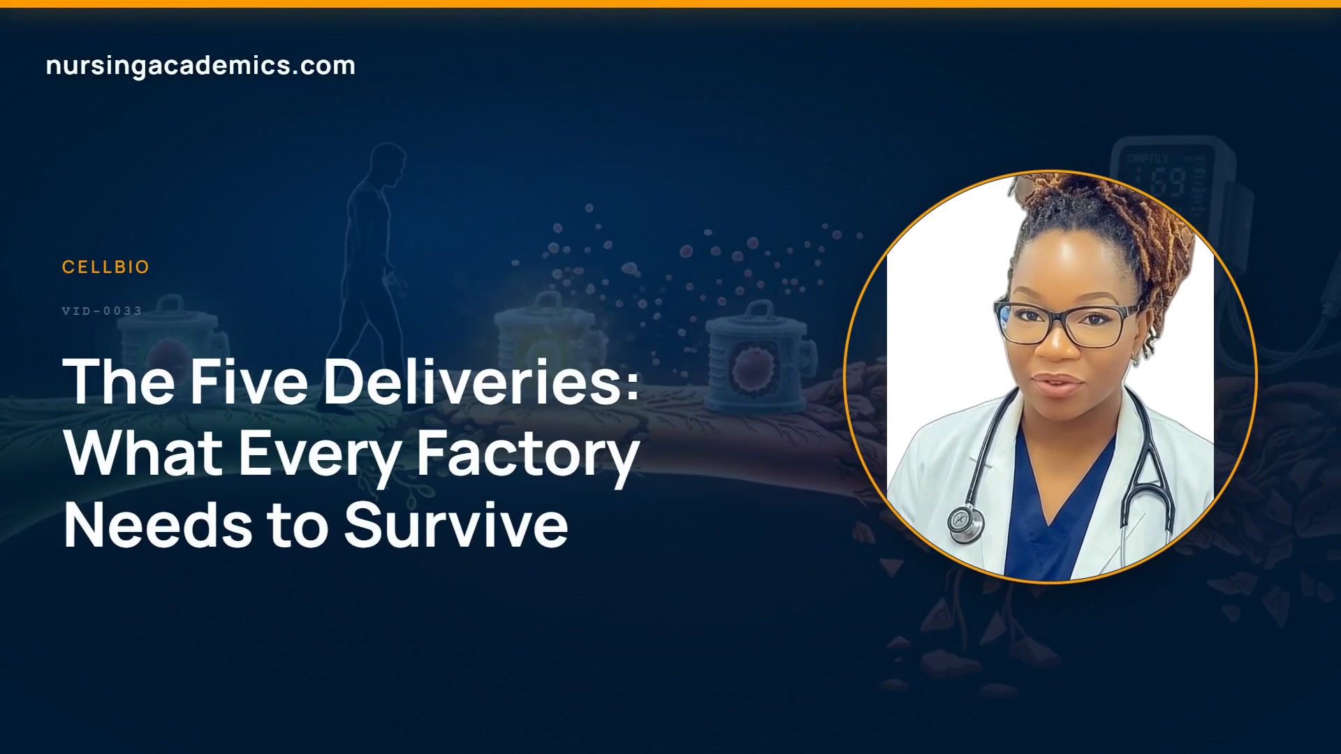 The Five Deliveries: What Every Factory Needs to Survive video