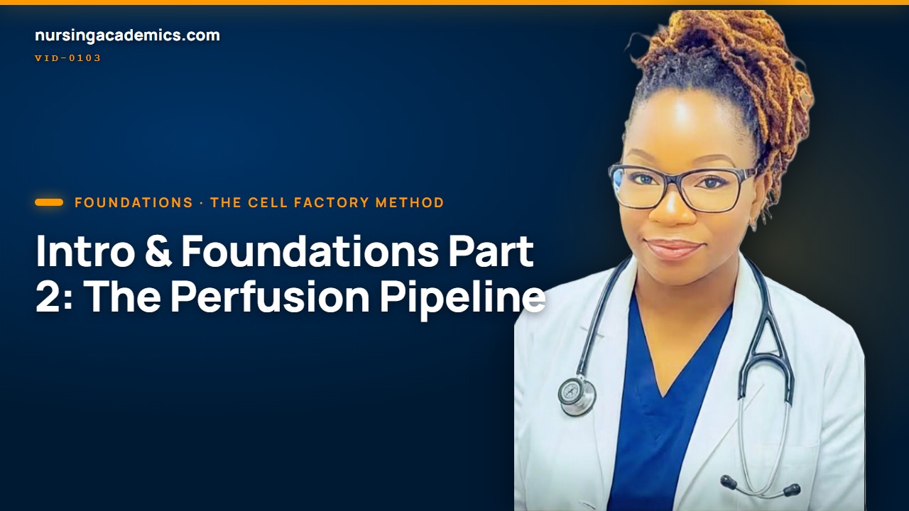 Perfusion Basics: How the Heart Delivers Oxygen to Every Cell