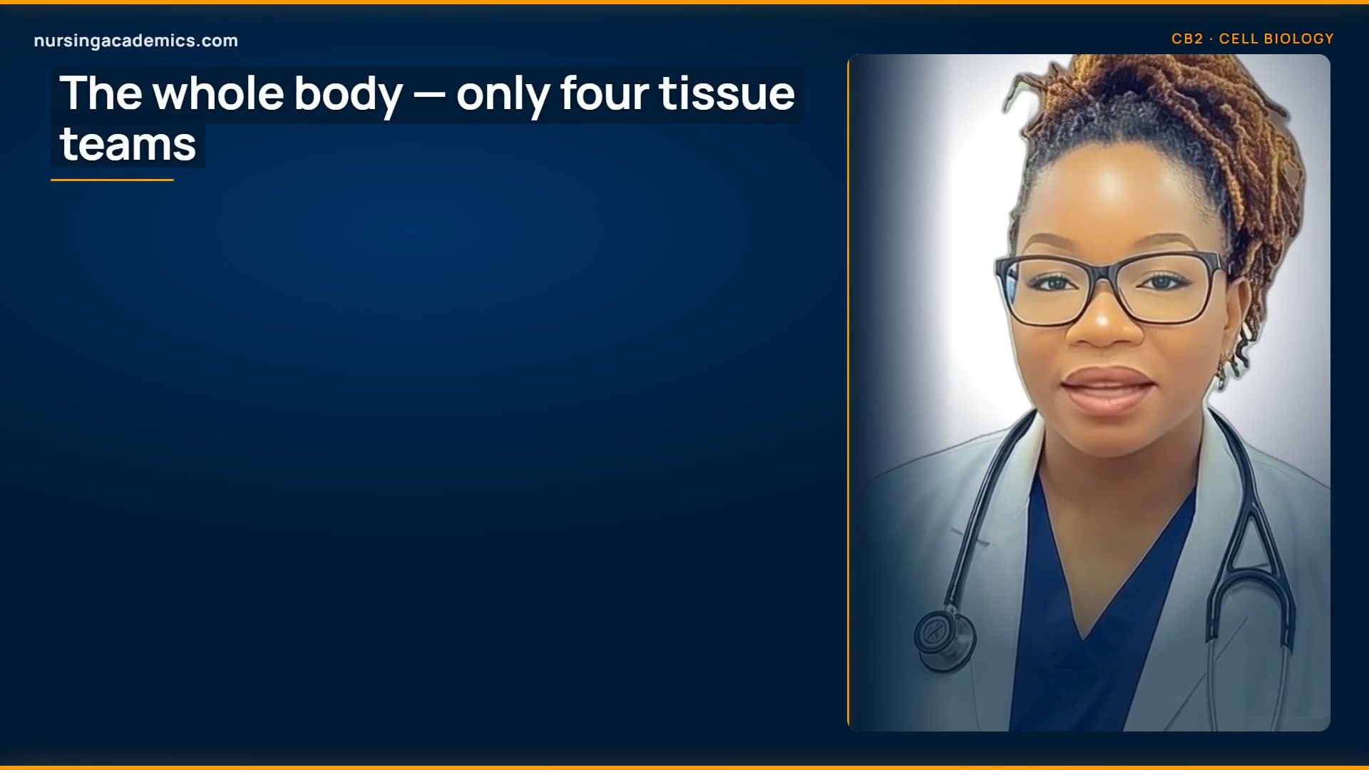 The Four Teams: Tissue Types video