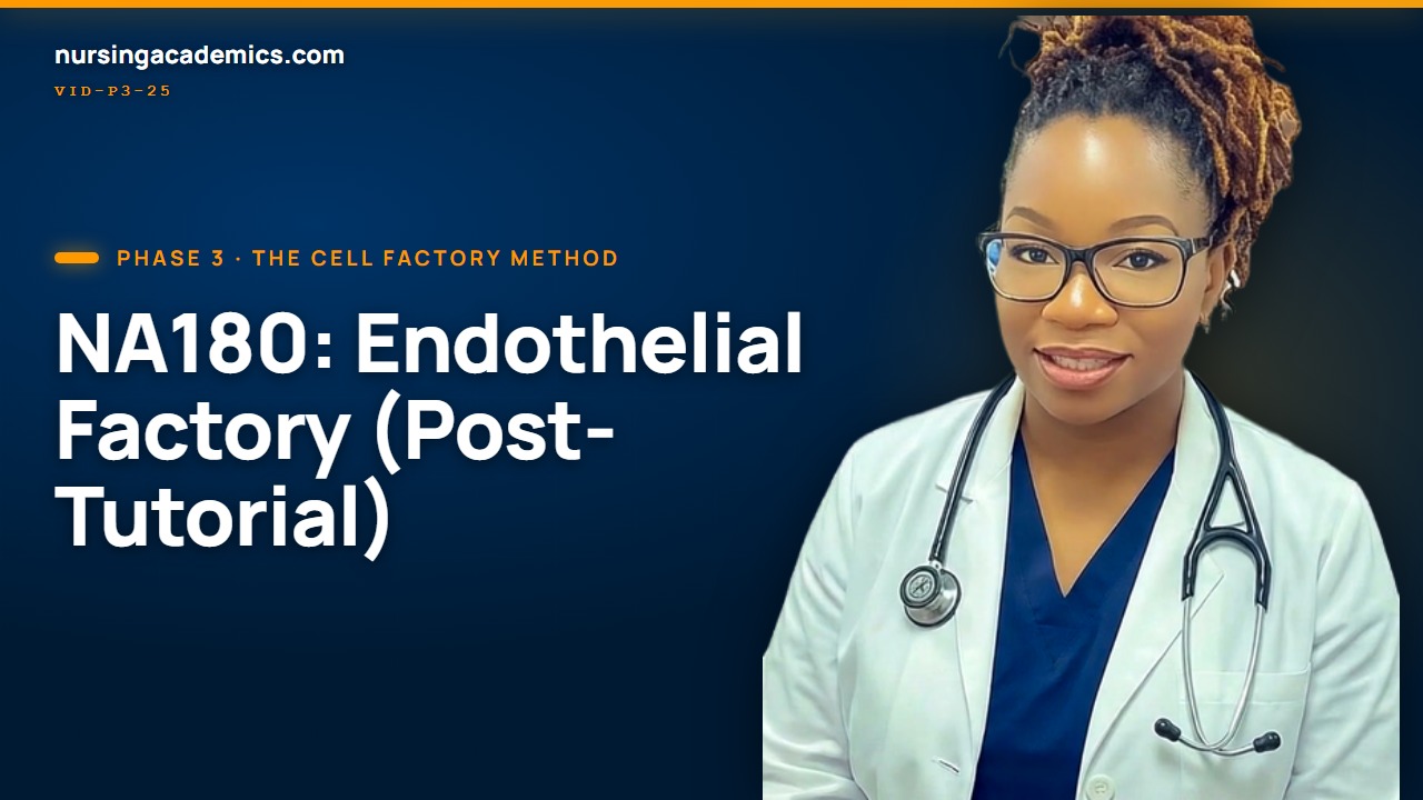 Endothelial Factory Recap: From Injury to Atherosclerosis