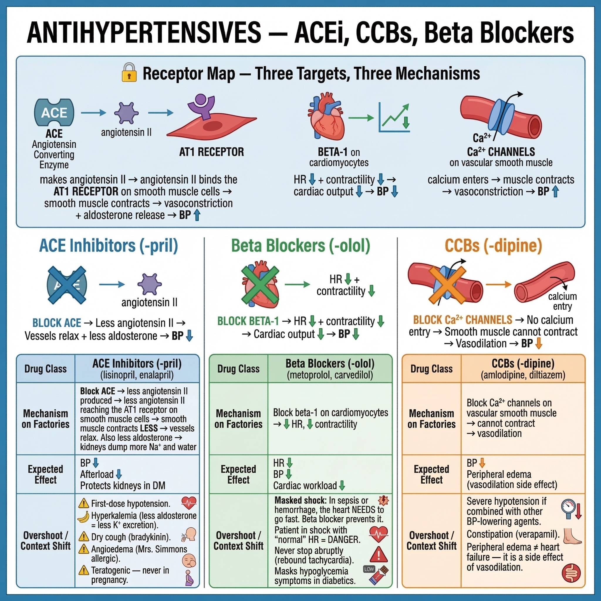 LPN NCLEX Review: Receptor Pharmacology - Complete Guide preview