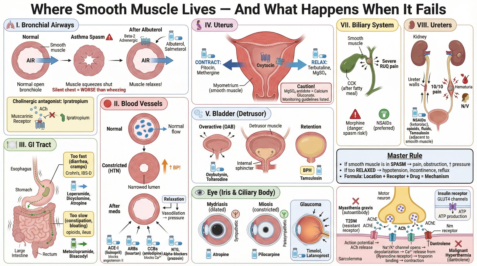 Endothelial Cell Factory preview
